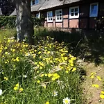 Nostalgische Auszeit דירה