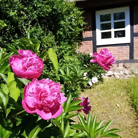 Nostalgische Auszeit 公寓