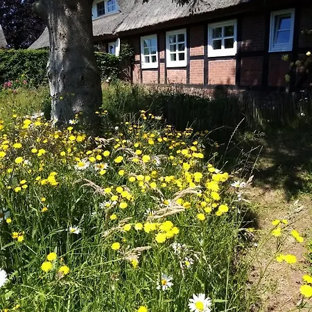 Nostalgische Auszeit Daire