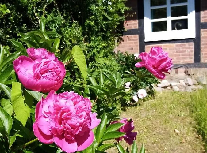 Nostalgische Auszeit Appartement