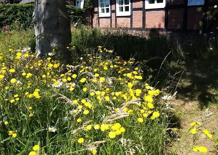 Nostalgische Auszeit Appartement